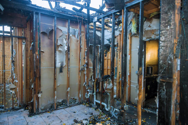 Professional Fire Damage Removal technician working in Loretto, MN
